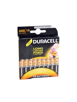 Duracell AAA of R3