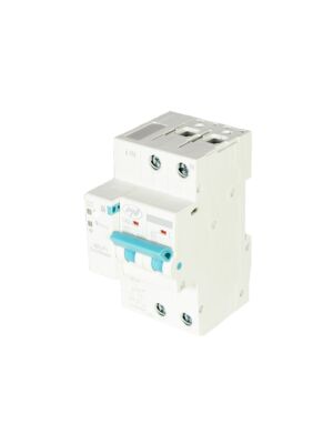 PNI SafeHome PT863 WiFi intelligente automatische zekering, instelbaar 1-63A, internetbesturing, Tuya S mobiele applicatie
