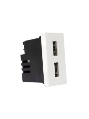 Stopcontact met 2 PNI UB20 USB-stekkers, in te bouwen in het 1/2 glazen frame