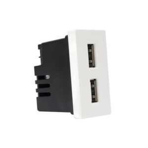 Stopcontact met 2 PNI UB20 USB-stekkers, in te bouwen in het 1/2 glazen frame